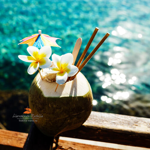 Coconut 3